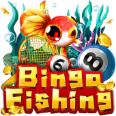 Câu Cá Bingo 13bet